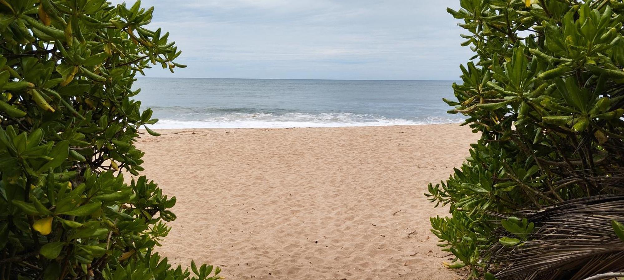 Eco Nest Marakolliya Bed & Breakfast Tangalle Bagian luar foto
