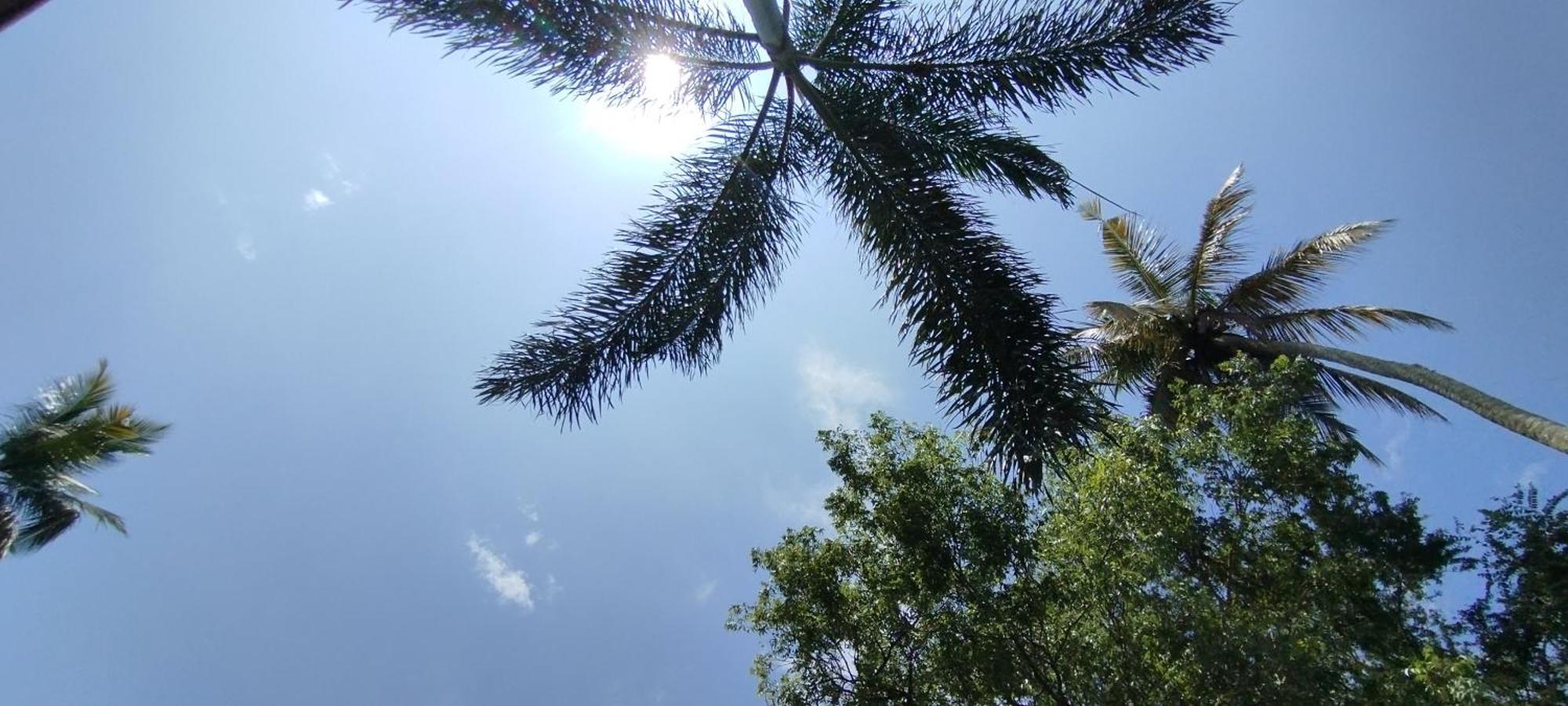 Eco Nest Marakolliya Bed & Breakfast Tangalle Bagian luar foto