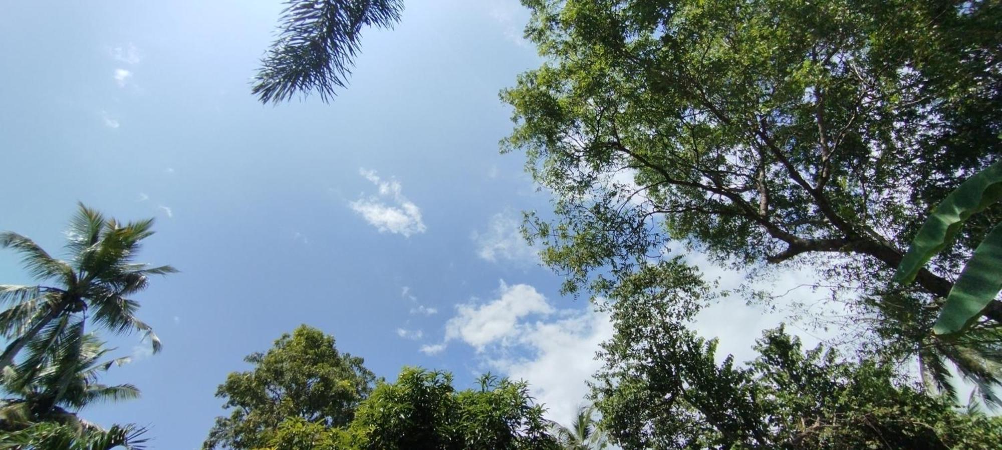 Eco Nest Marakolliya Bed & Breakfast Tangalle Bagian luar foto